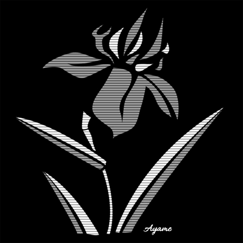 Author image of Ayame