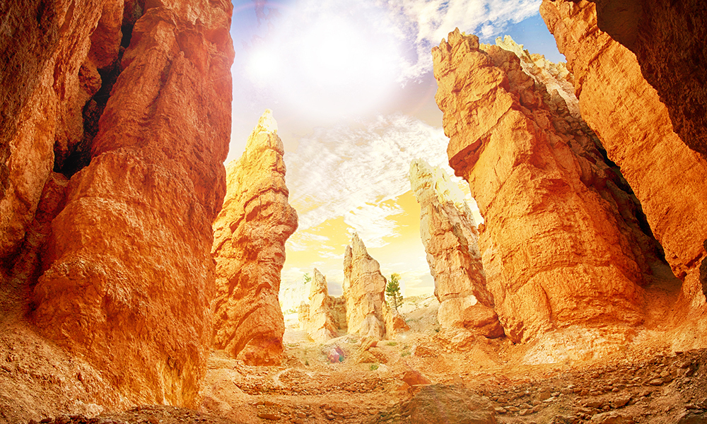 Thumbnail of Story image for The Vanishing Diminutive Girl Trick by 