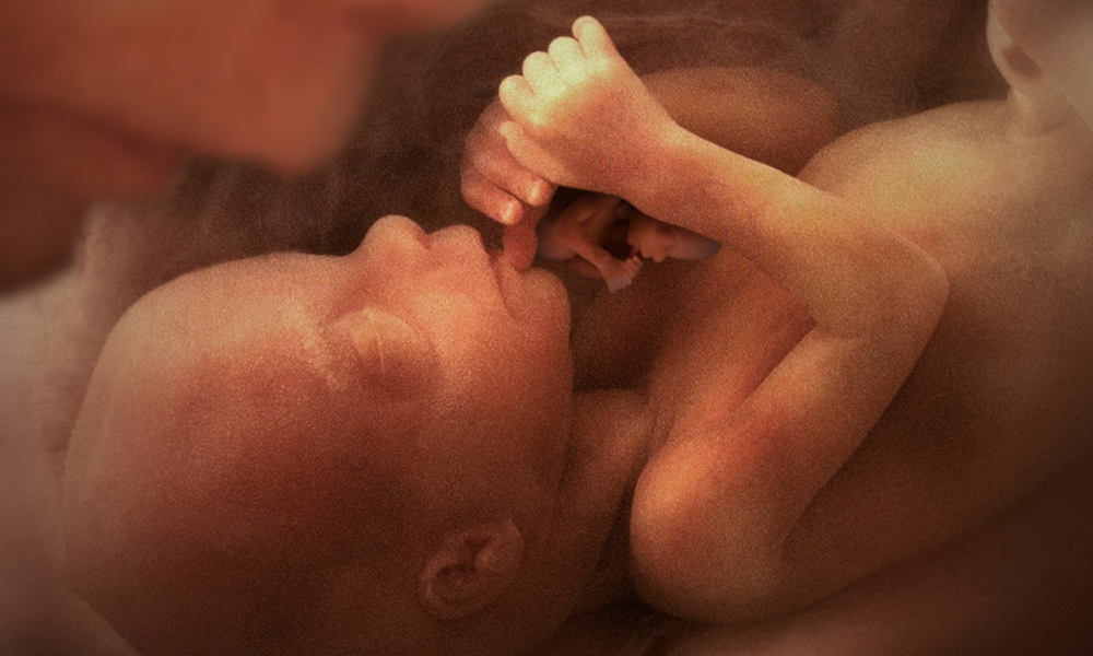 Thumbnail of Story image for Someday Someone's Gonna Steal Your Carbon by 