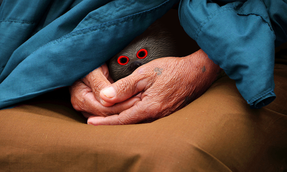 Thumbnail of Story image for The House We Built Together, Yesterday by 