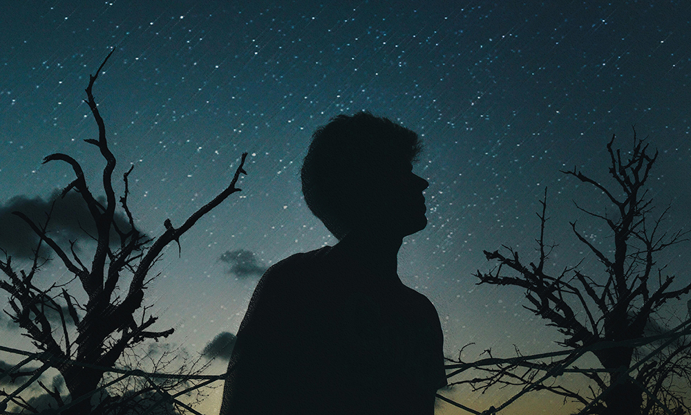 Story image for The Witness